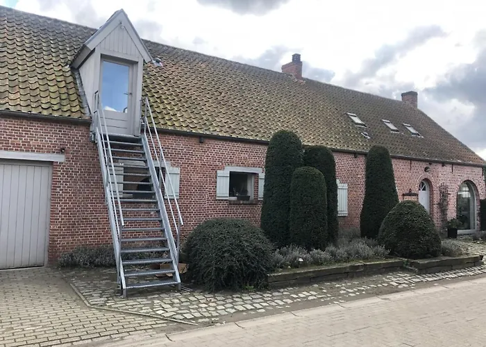 Slapen Bij Alpacas