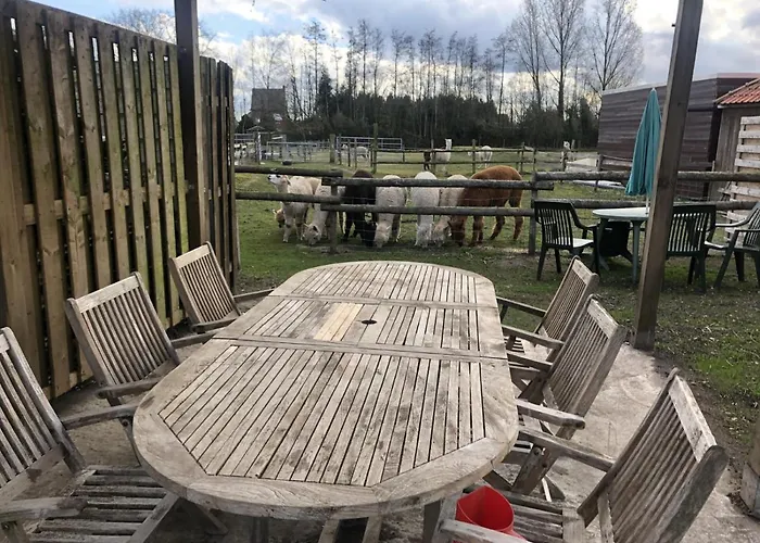 Slapen Bij Alpacas
