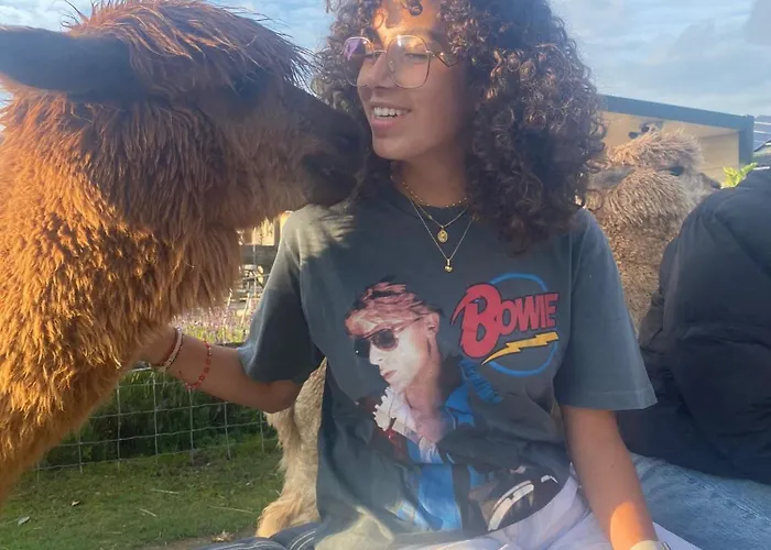 Slapen Bij Alpacas