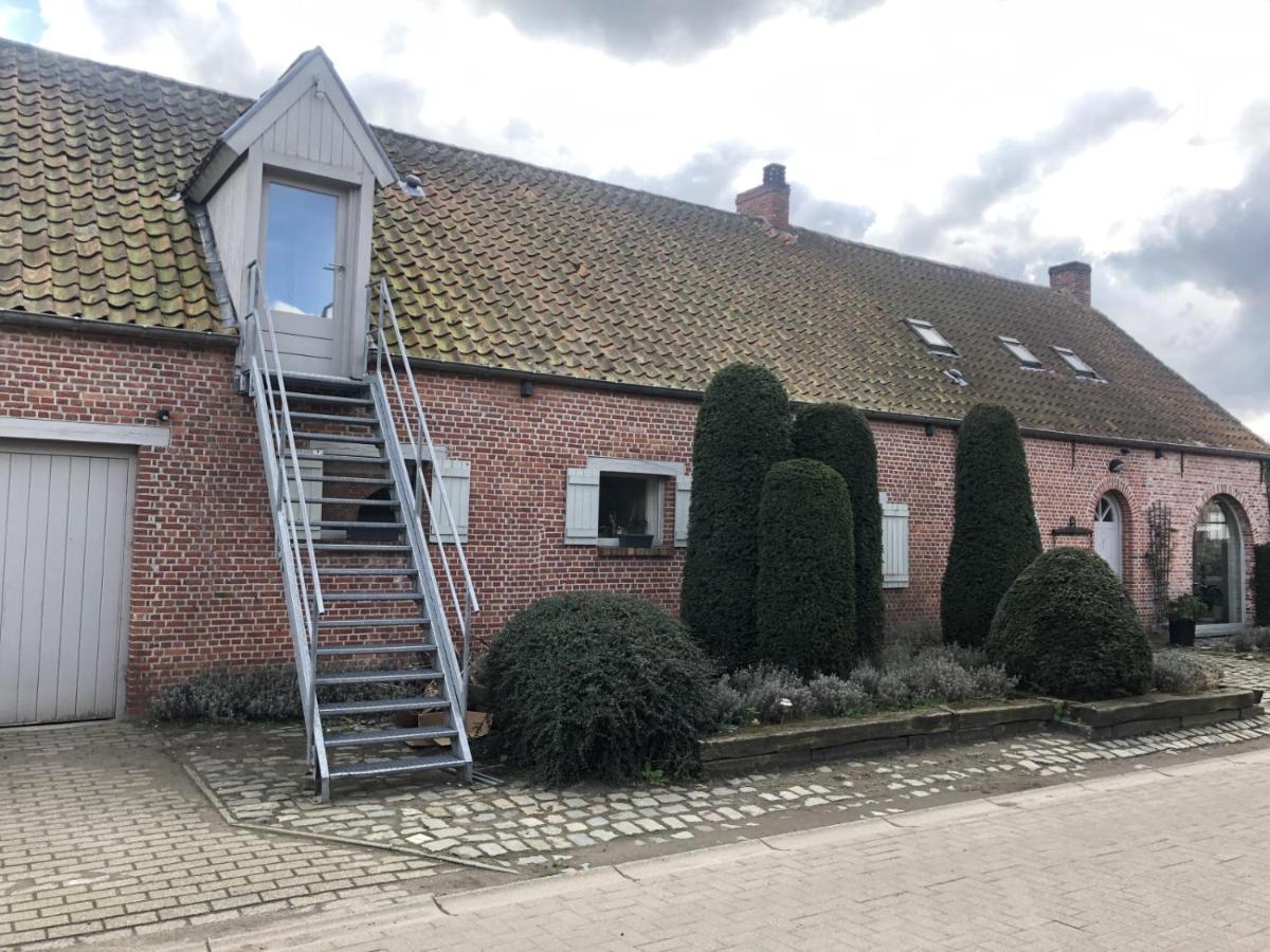 Apartment Slapen Bij Alpacas Beerse