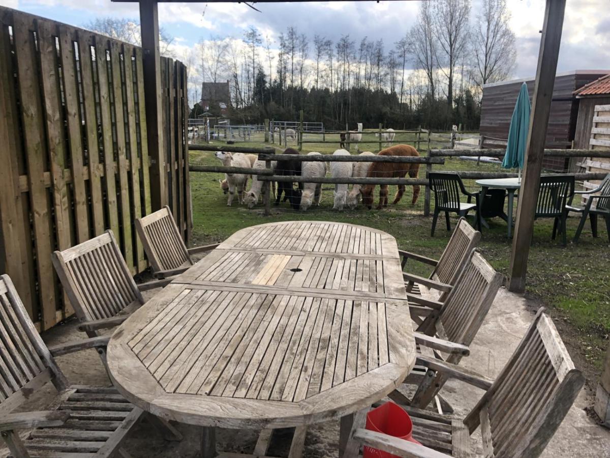 Apartment Slapen Bij Alpacas Beerse