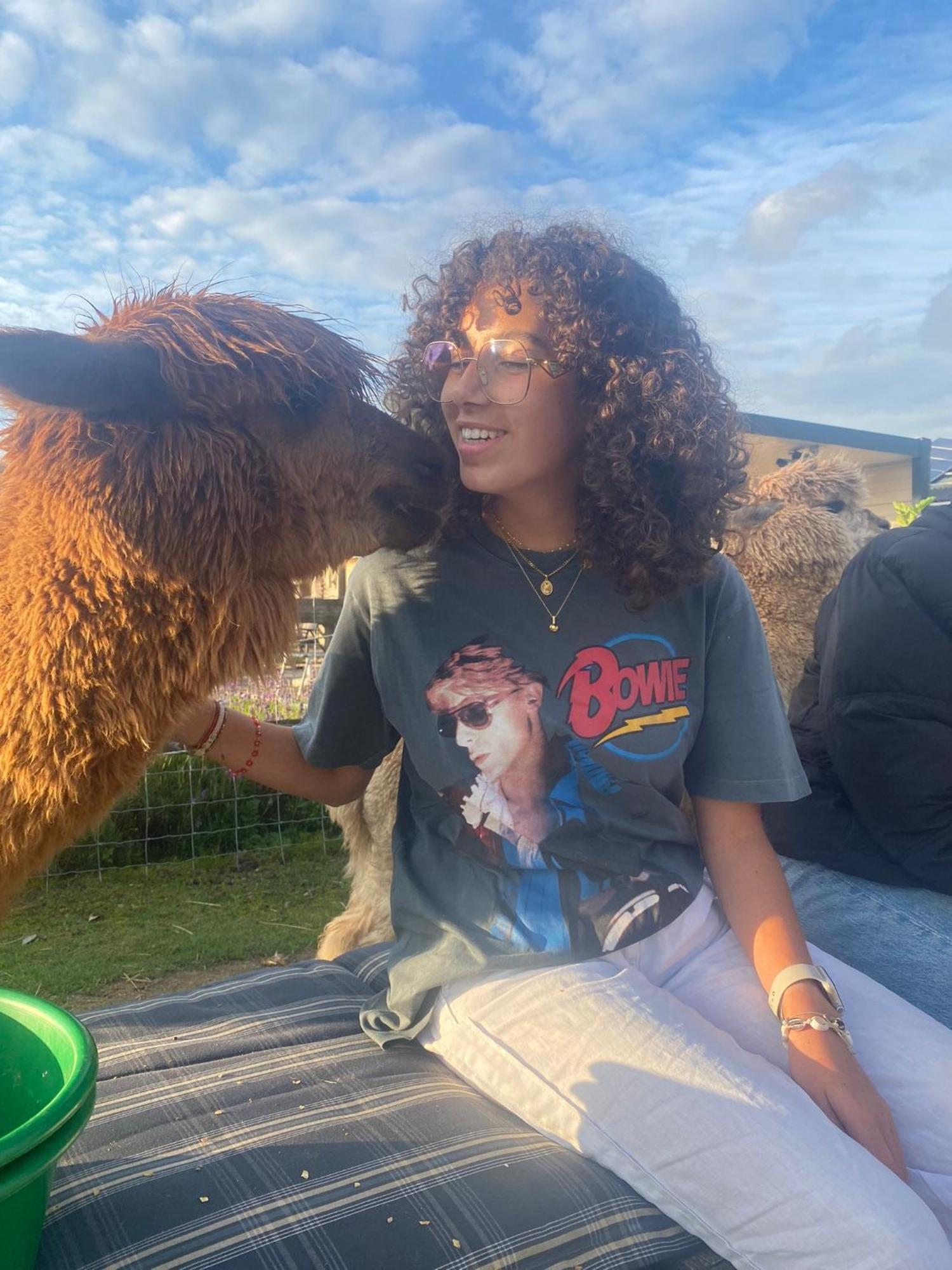 Slapen Bij Alpacas *